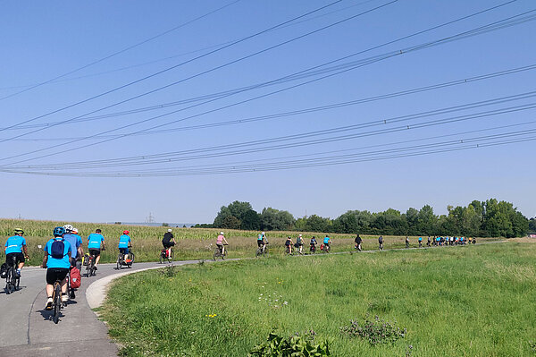 Gruppe von Radfahrerinnen und Radfahrern auf einer Landstraße bei sonnigem Wetter, umgeben von Wiesen.