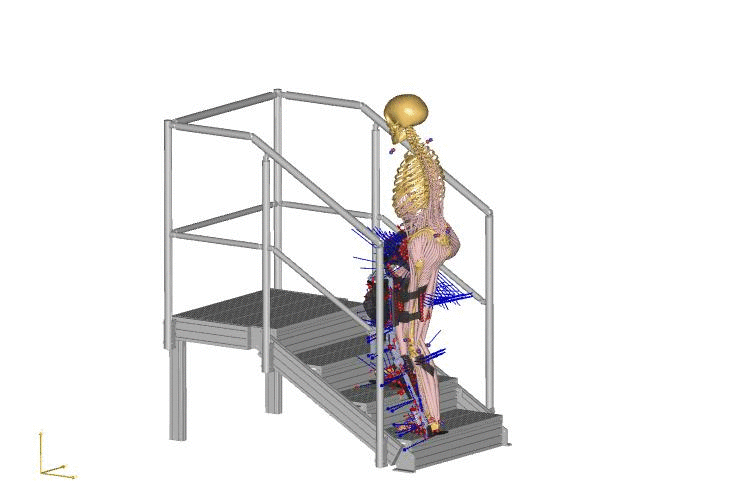 Interface model: Skeleton with exoskeleton on the leg climbing stairs / when linked, the link leads to the project website